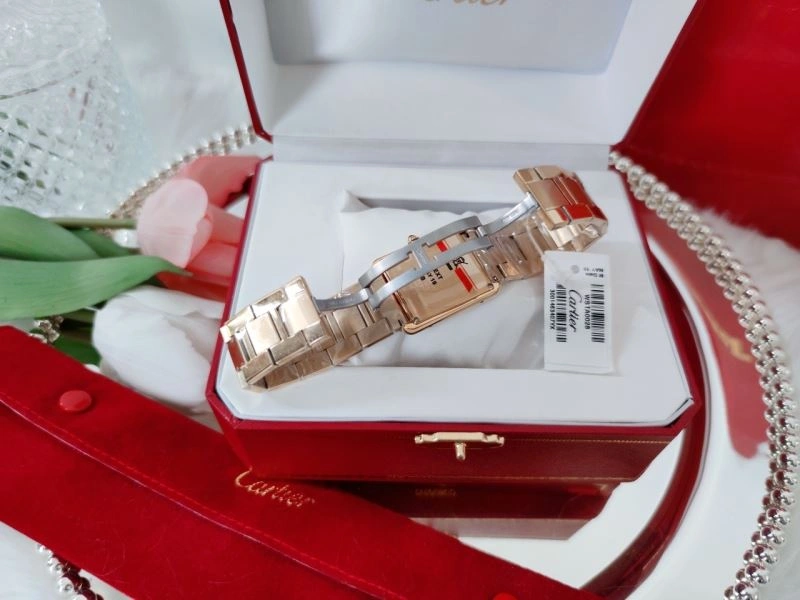 CARTIER Watches Resilient 179733