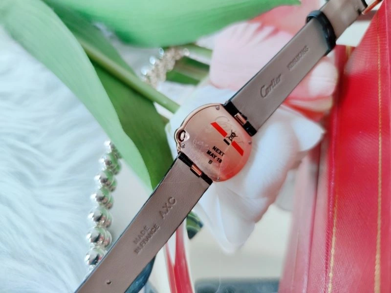 CARTIER Watches DailyWear 179719