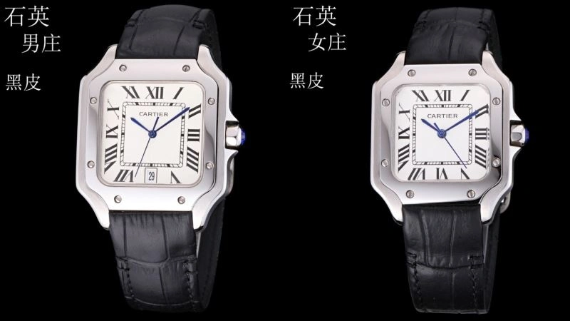 SunProtective CARTIER Watches 179735