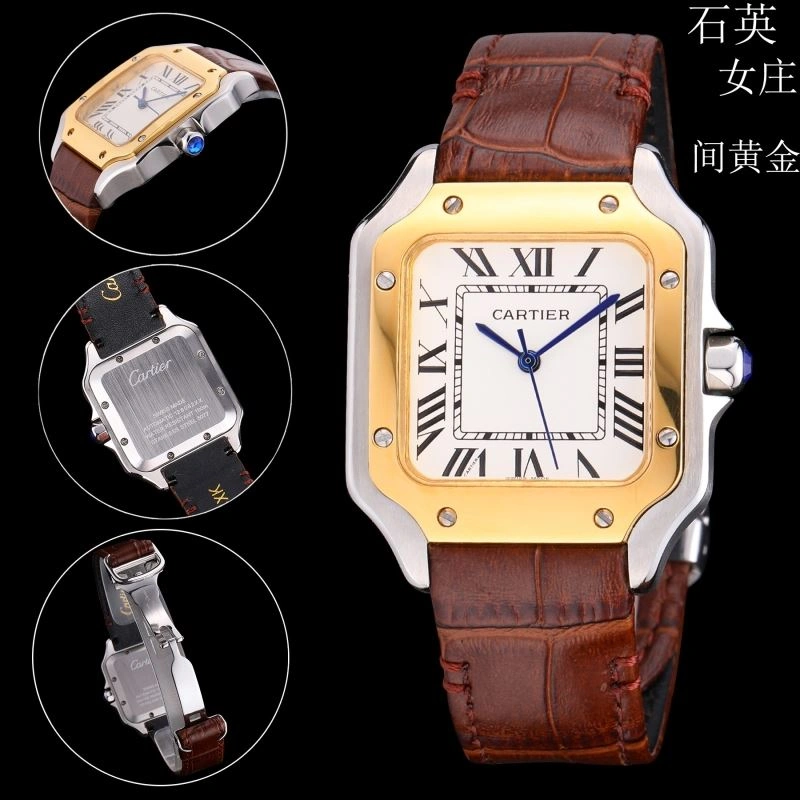SunProtective CARTIER Watches 179735
