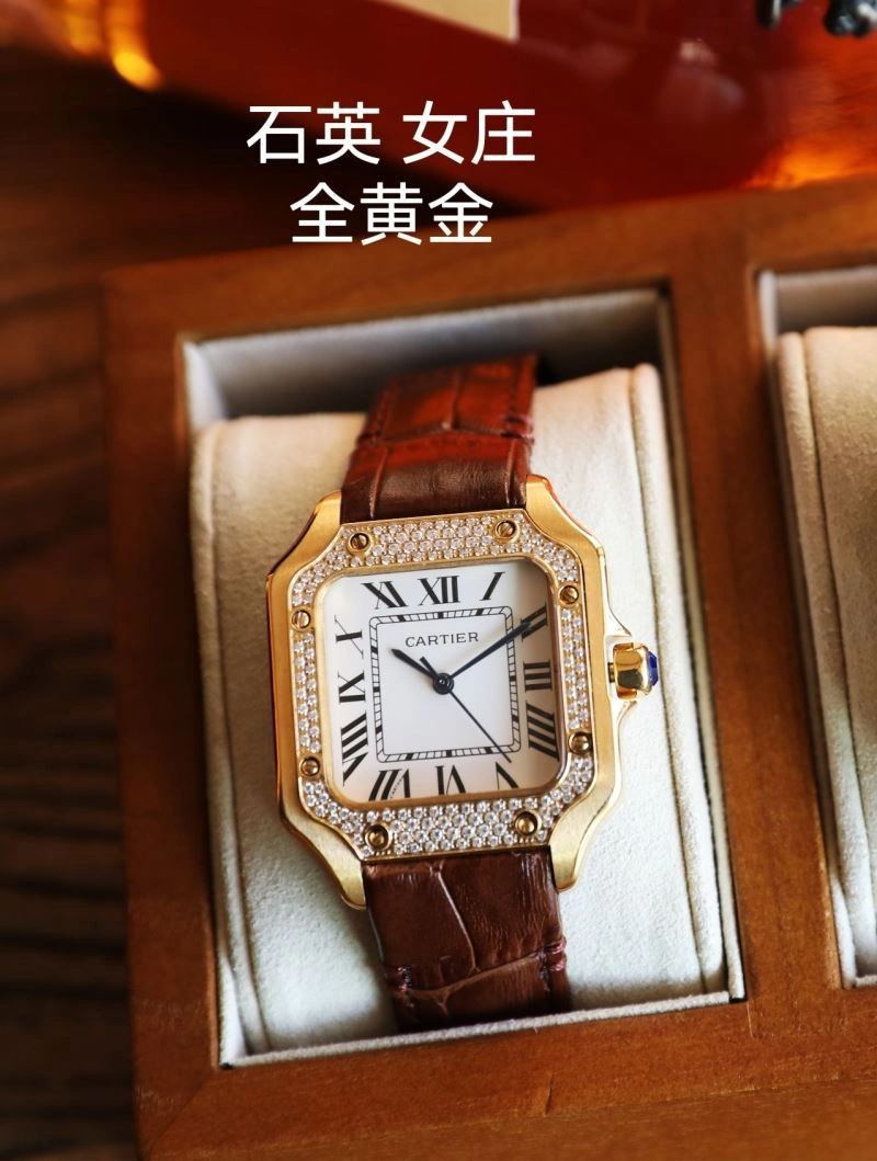 SunProtective CARTIER Watches 179735