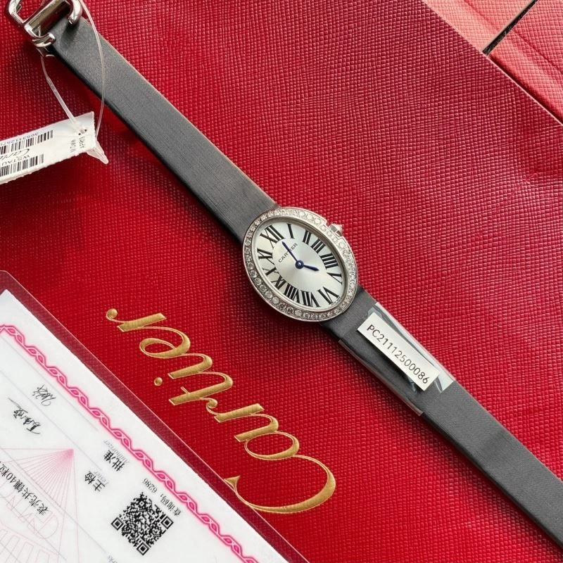 WellDesigned CARTIER Watches 179568