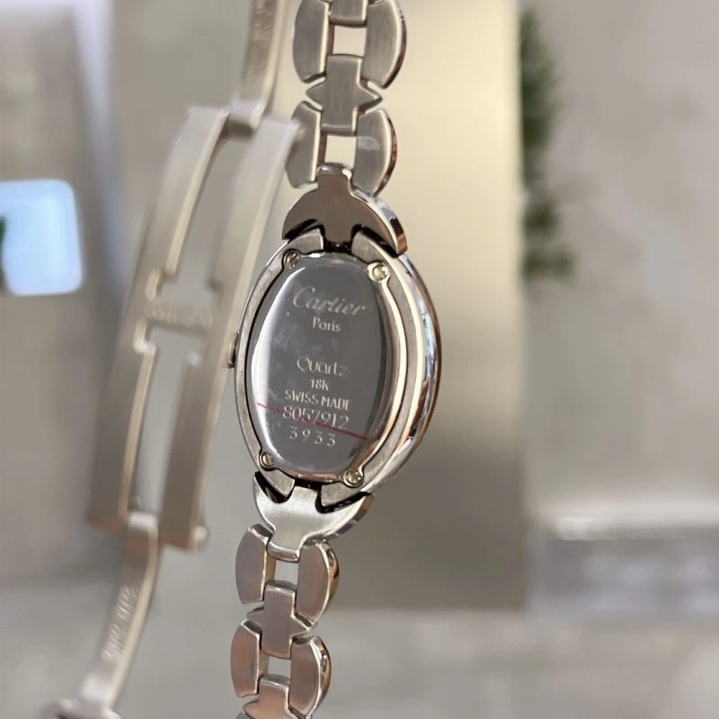 CARTIER Watches SmoothTexture 179523