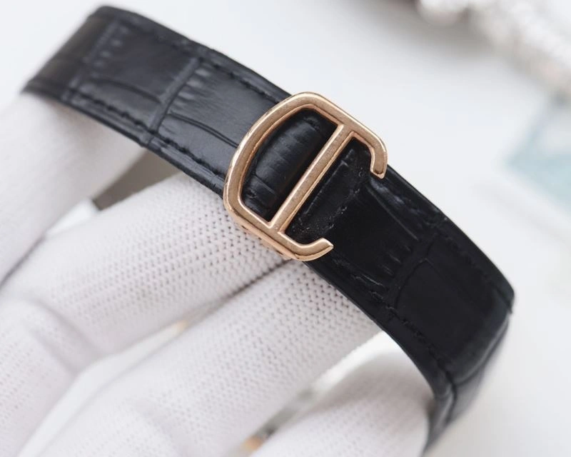CARTIER Watches SoftTouch 179057