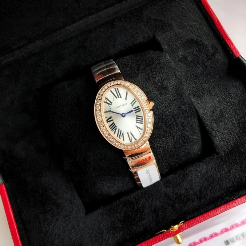 CARTIER Watches WeatherProof 179043