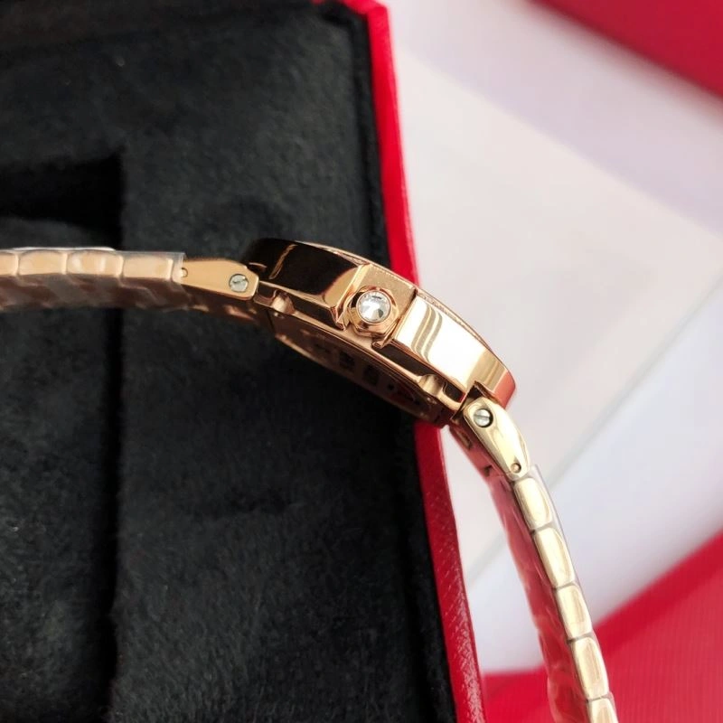 CARTIER Watches WeatherProof 179043