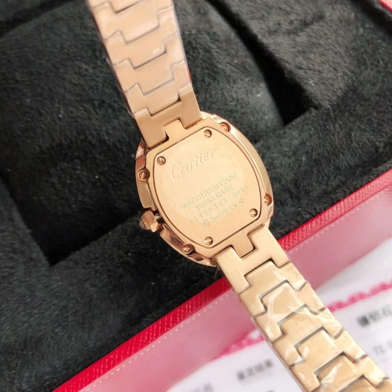 CARTIER Watches WeatherProof 179043