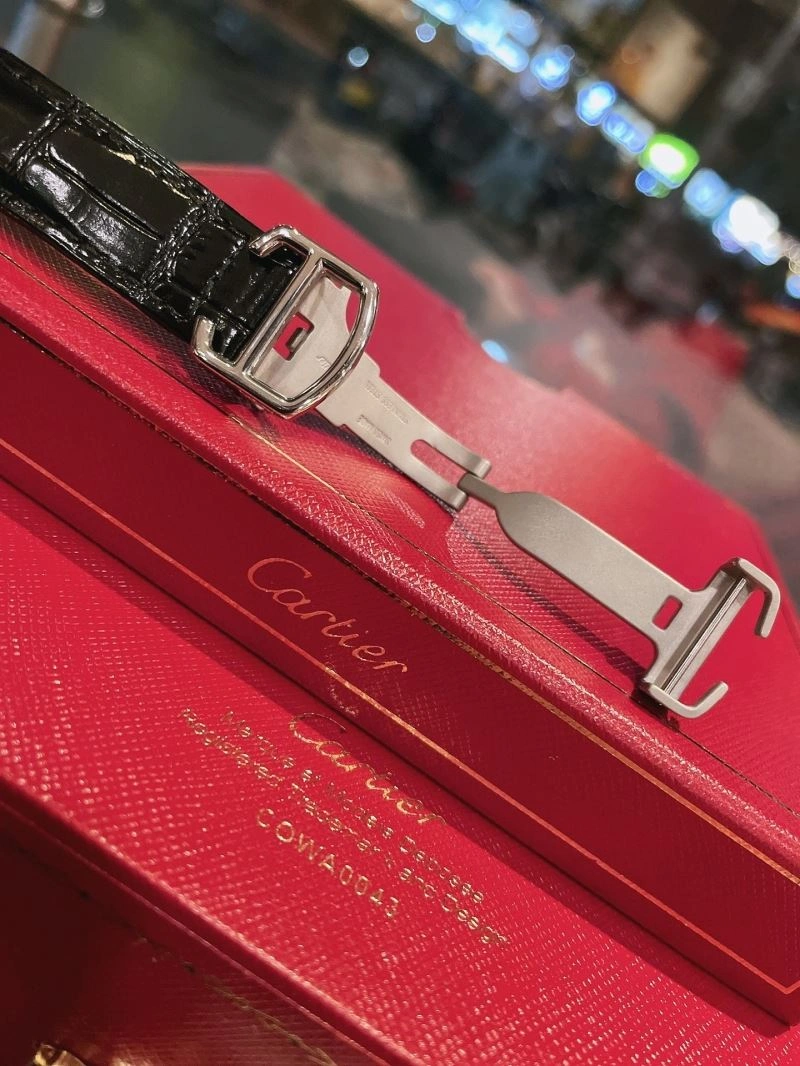 TechFriendly CARTIER Watches 179058