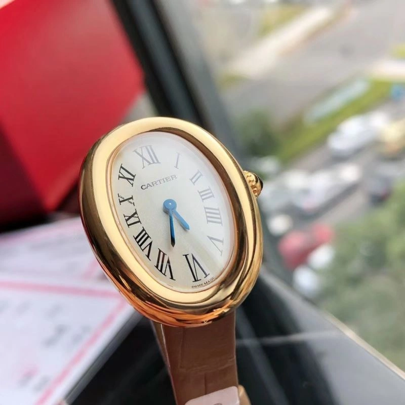 CARTIER Watches WeatherProof 178941