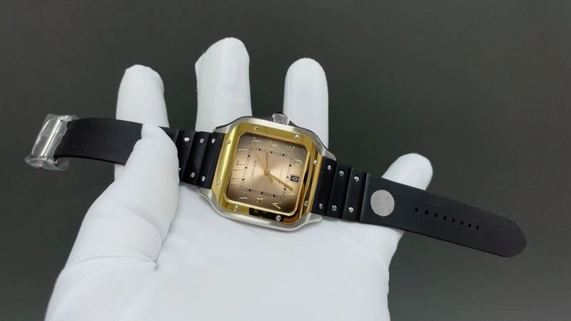 CARTIER Watches GoAnywhere 178903