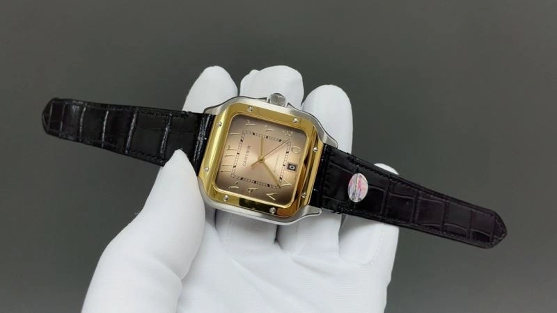 CARTIER Watches GoAnywhere 178903