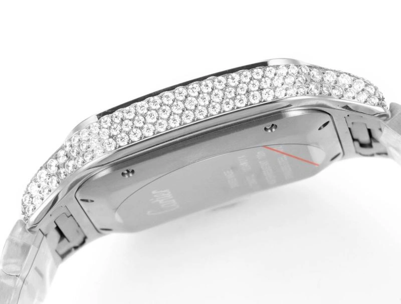 CARTIER Watches GoAnywhere 178748
