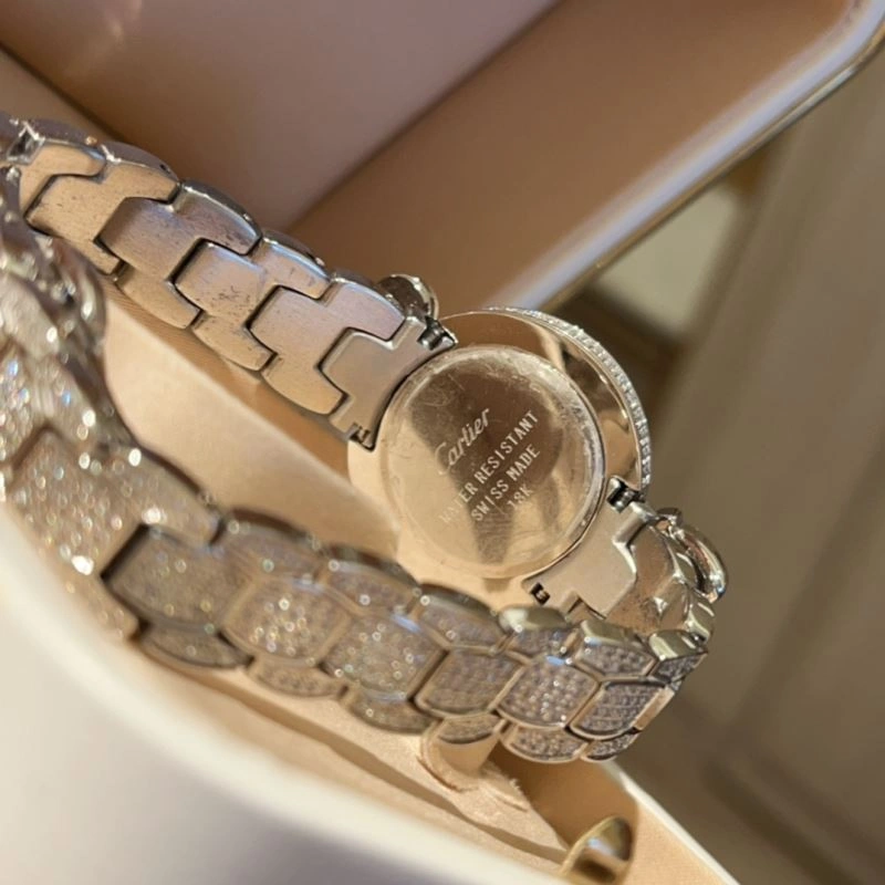 Stretchable CARTIER Watches 178651