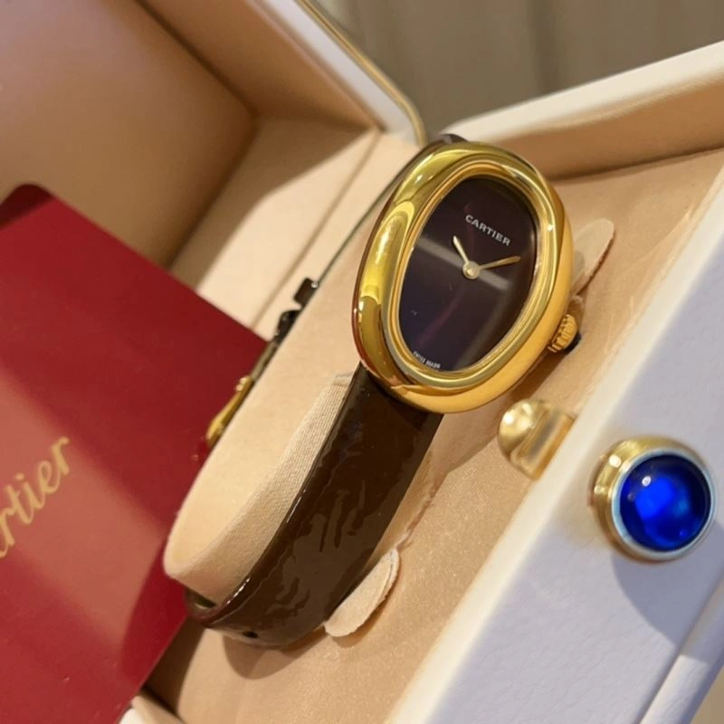 Versatile CARTIER Watches 178604