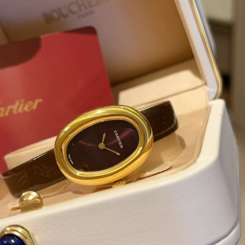 Vibrant CARTIER Watches 178603