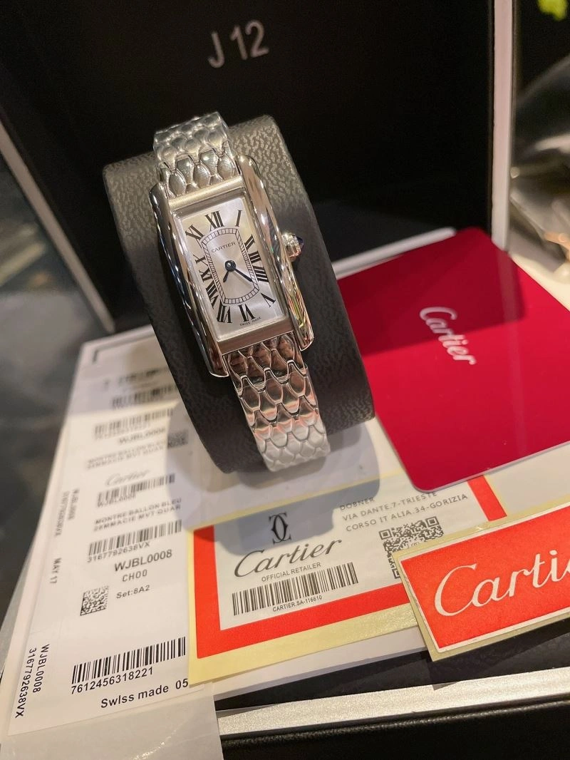 ModernLook CARTIER Watches 178561