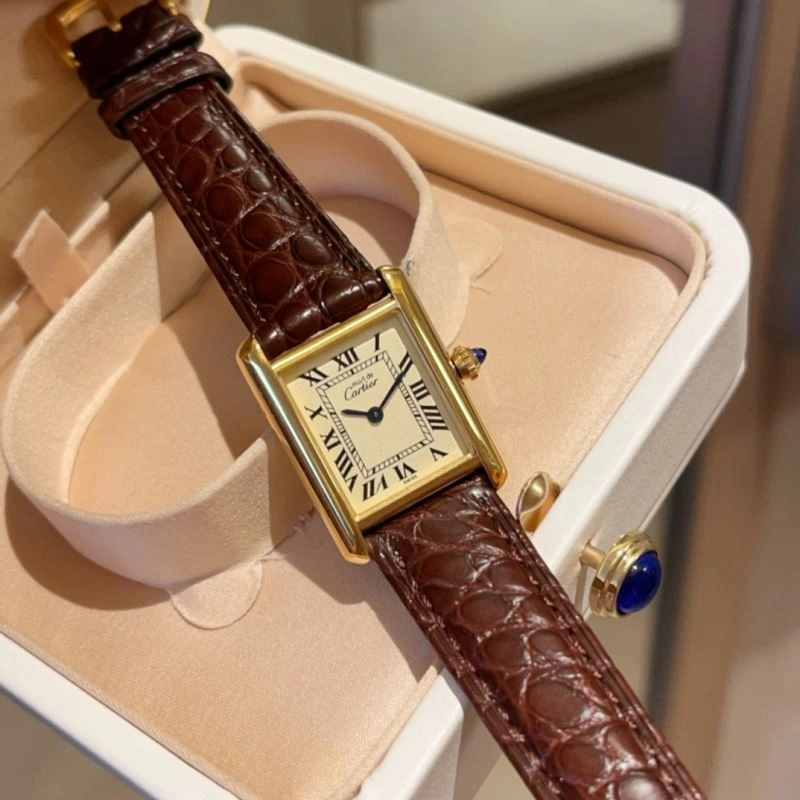 Stylish CARTIER Watches 178558