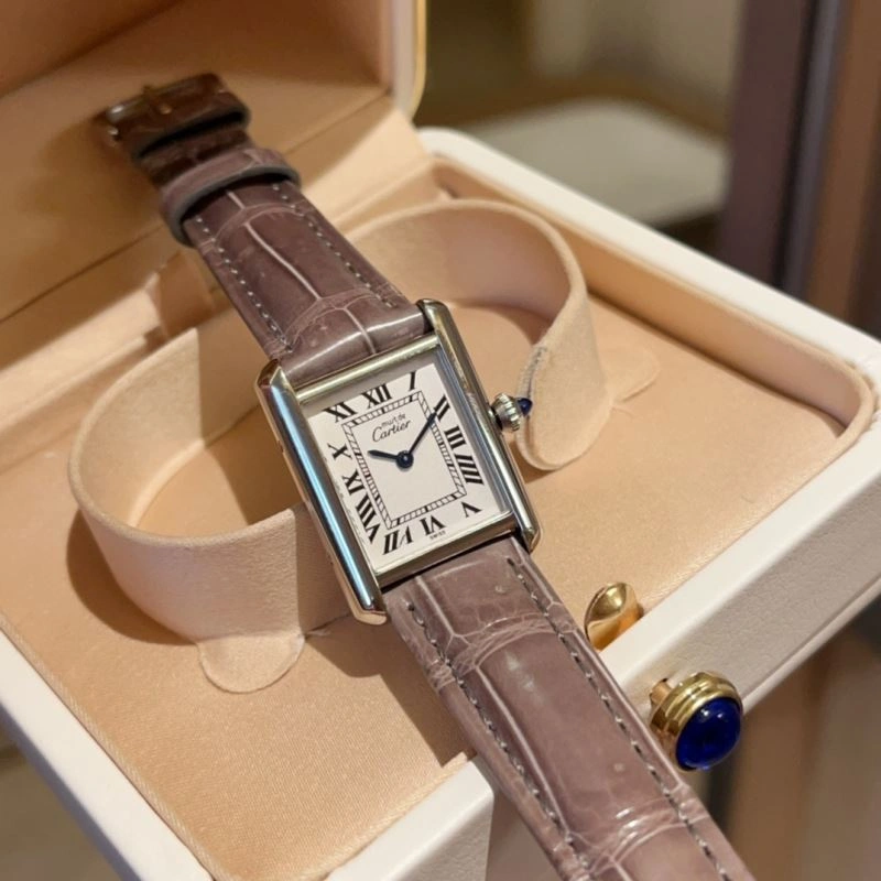 Stylish CARTIER Watches 178558
