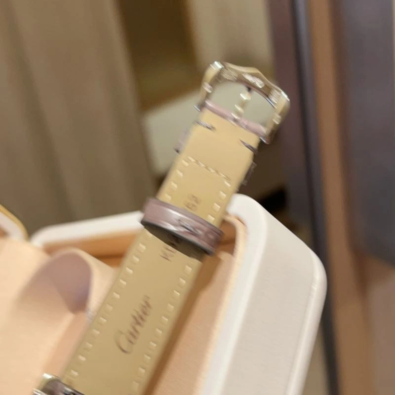 Stylish CARTIER Watches 178558
