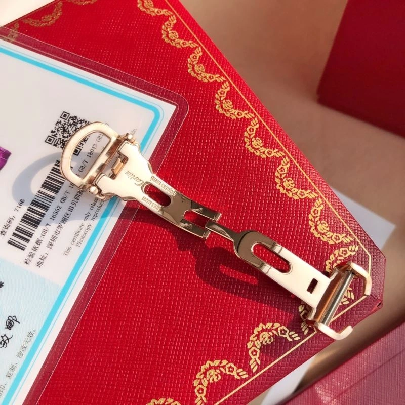 CARTIER Watches QuickDry 178501