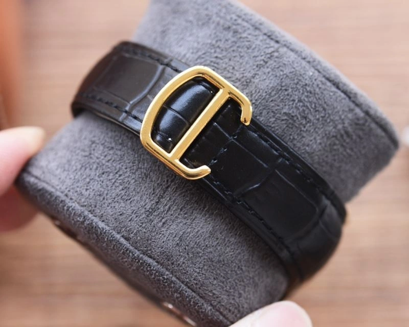 SunProtective CARTIER Watches 179396