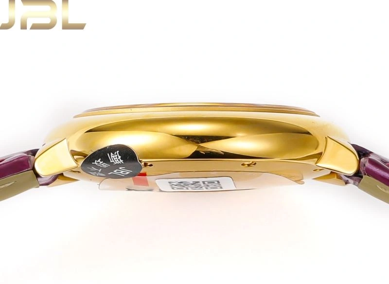 CARTIER Watches Resilient 179244