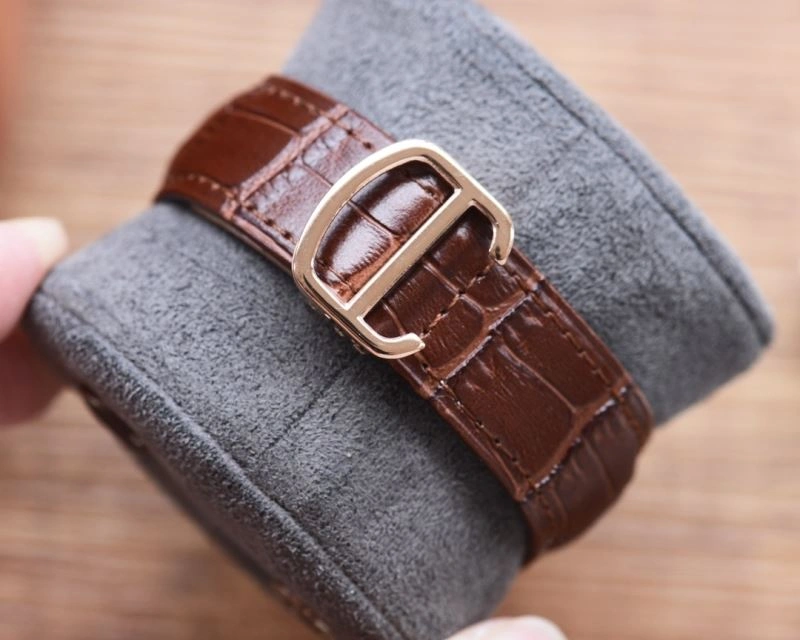SmoothTexture CARTIER Watches 179189