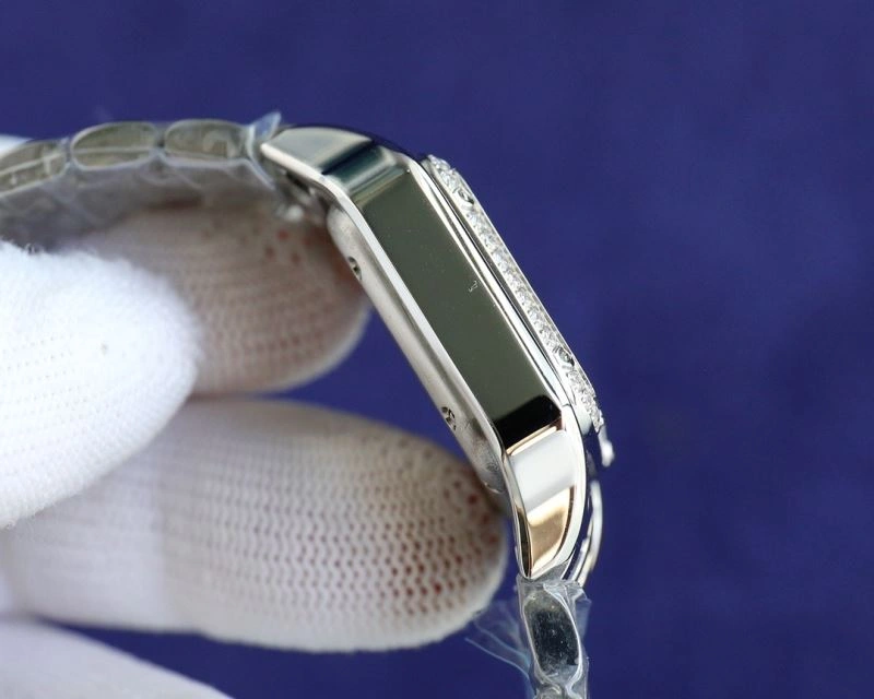 CARTIER Watches Soft 179173
