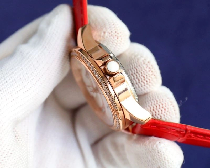 GoAnywhere CHANEL Watches 181492