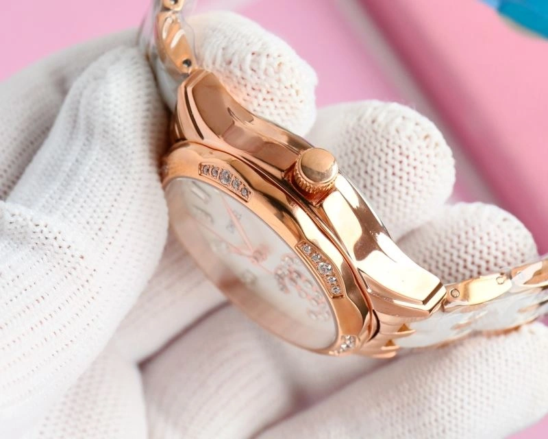 Tailored CHANEL Watches 181265