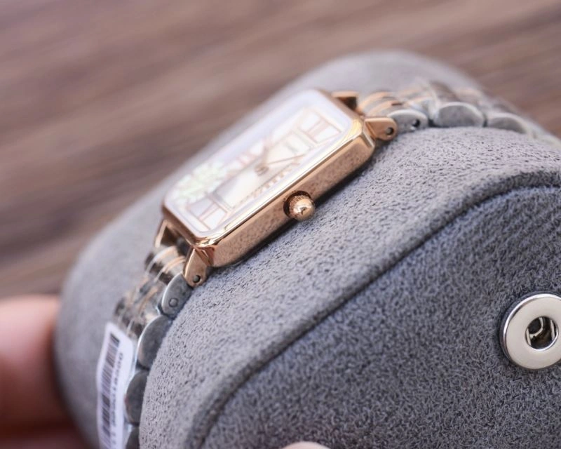 Efficient CHANEL Watches 181227