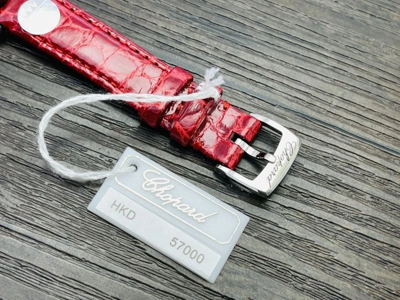 CHOPARD Watches EasyCare 181914
