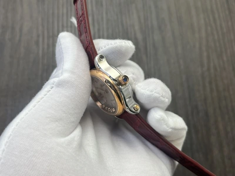 CHOPARD Watches SunProtective 181746