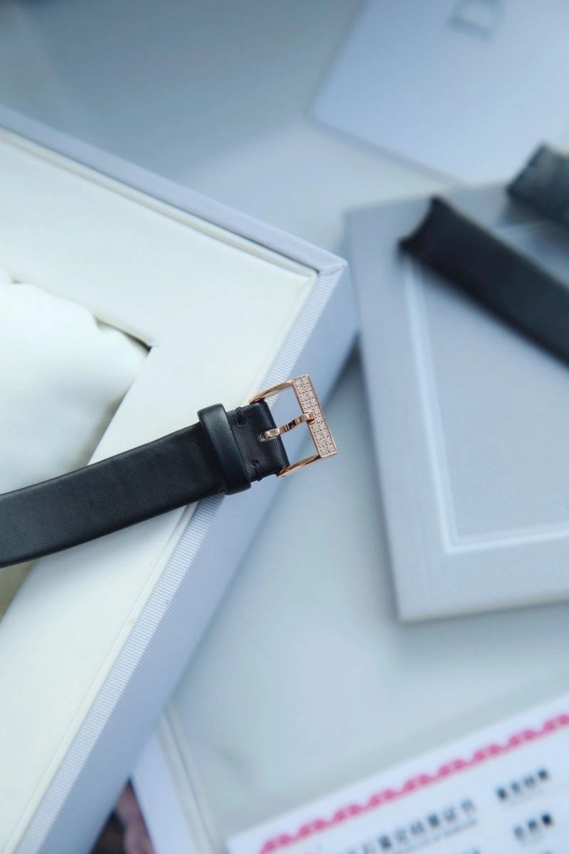 Seasonal CHRISTIAN DIOR Watches 182088