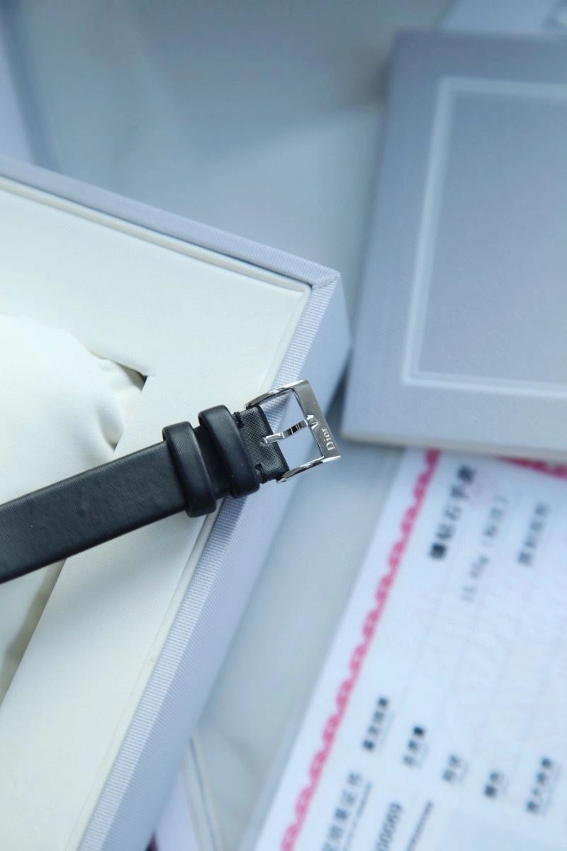Modern CHRISTIAN DIOR Watches 182086