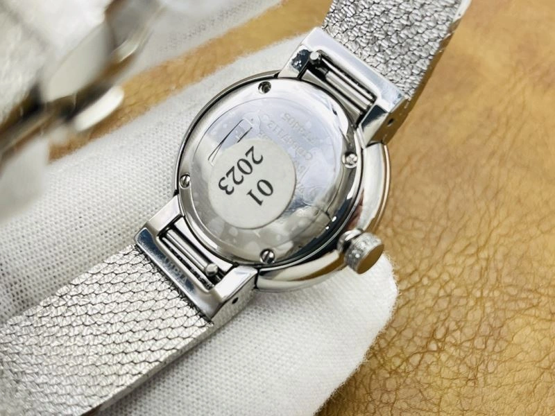 Durable CHRISTIAN DIOR Watches 182055