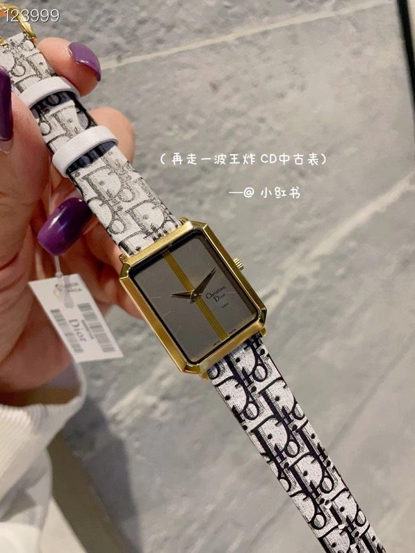 WaterResistant CHRISTIAN DIOR Watches 182047