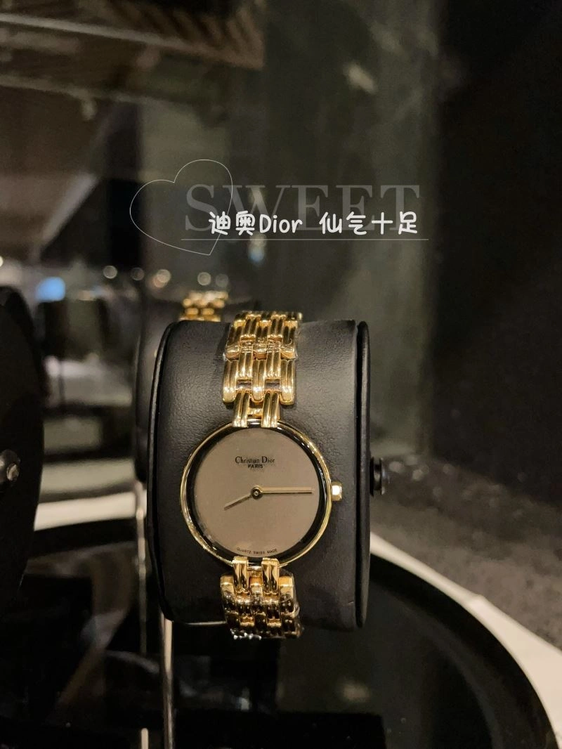 CHRISTIAN DIOR Watches EasyCare 182026