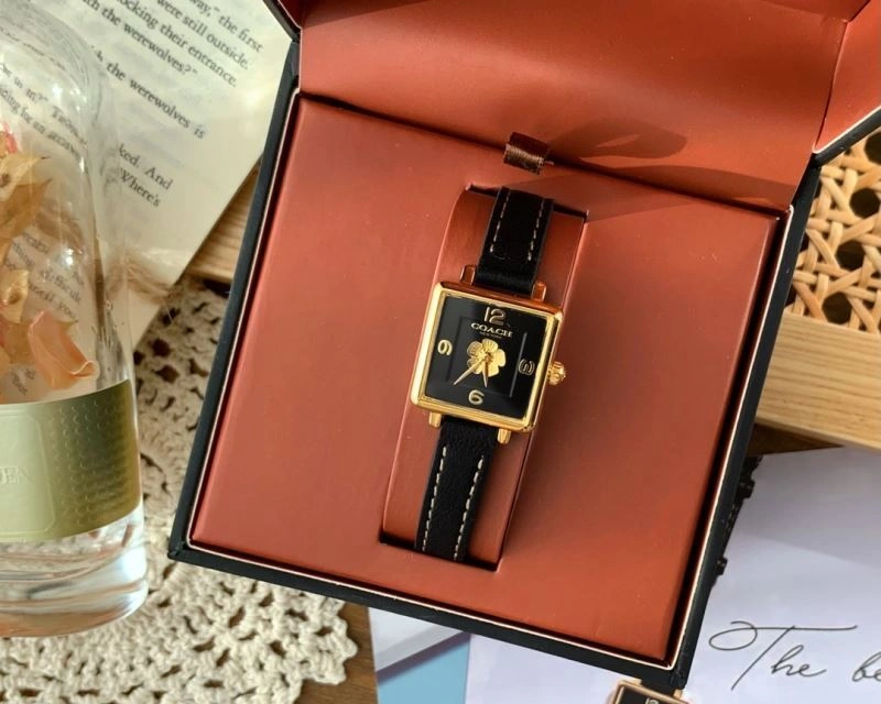 Modern COACH Watches 182111
