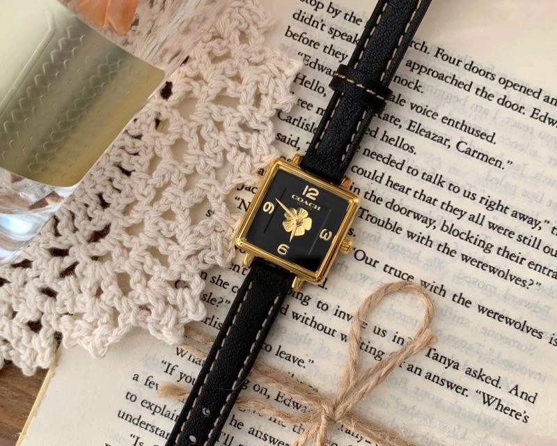 Modern COACH Watches 182111
