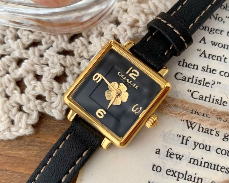 Modern COACH Watches 182111