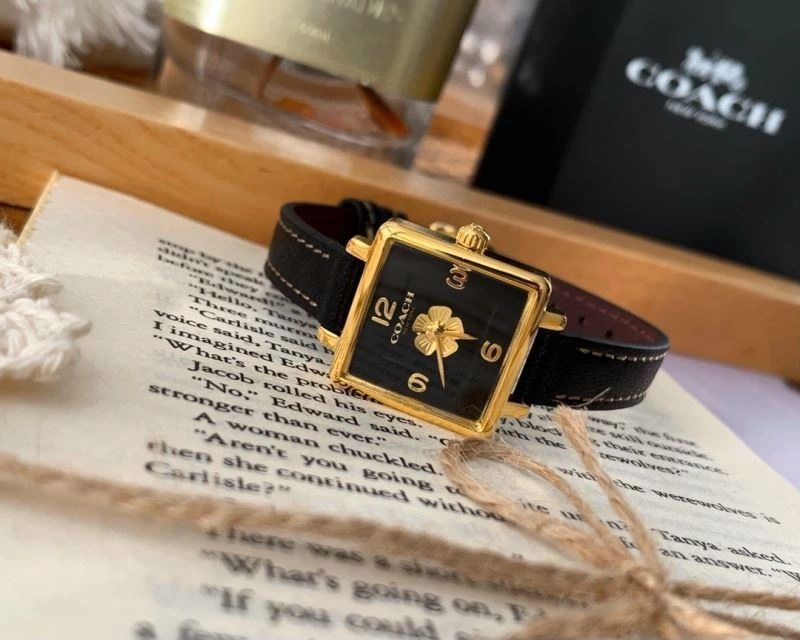 Modern COACH Watches 182111