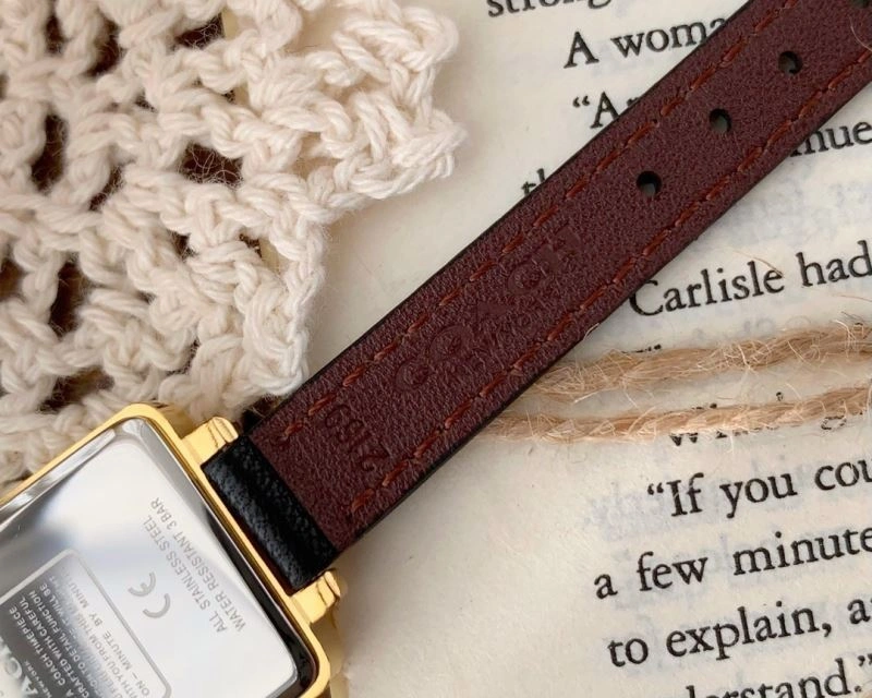 Modern COACH Watches 182111