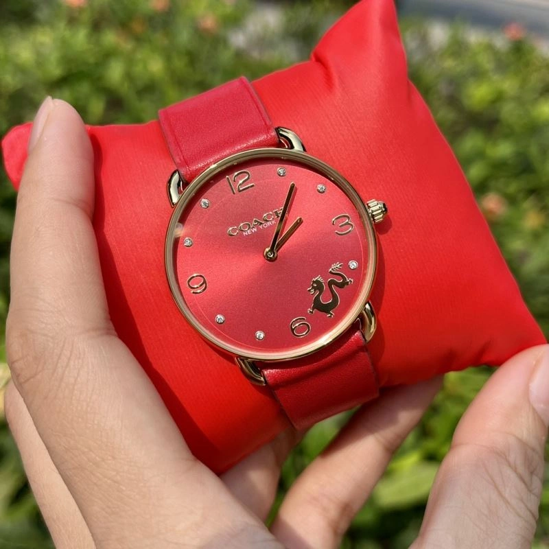 Resilient COACH Watches 182094