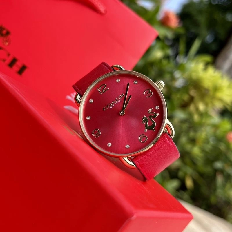 Resilient COACH Watches 182094