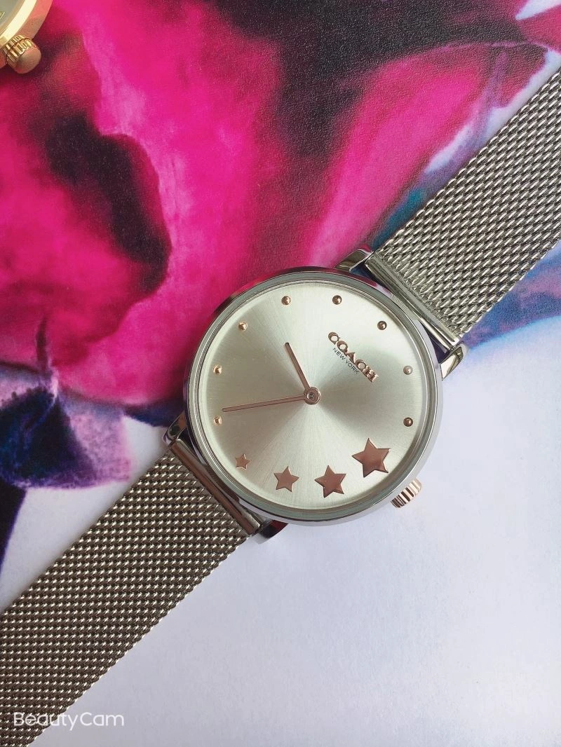 Unique COACH Watches 182097