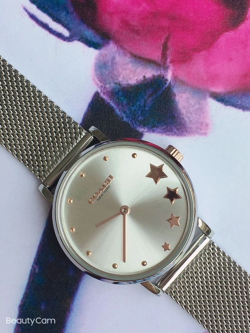 Unique COACH Watches 182097