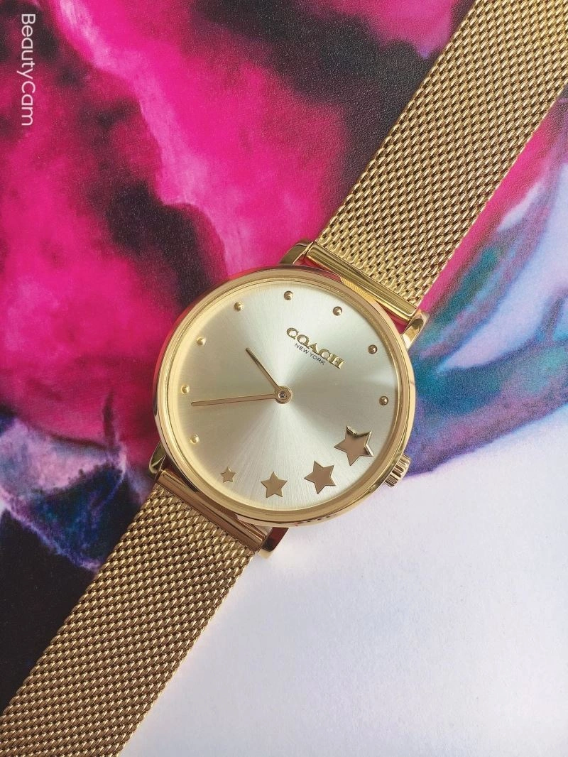 MoistureWicking COACH Watches 182092