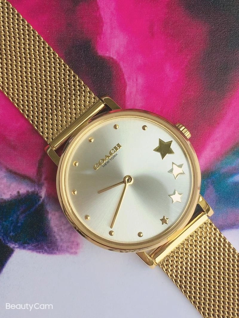 MoistureWicking COACH Watches 182092