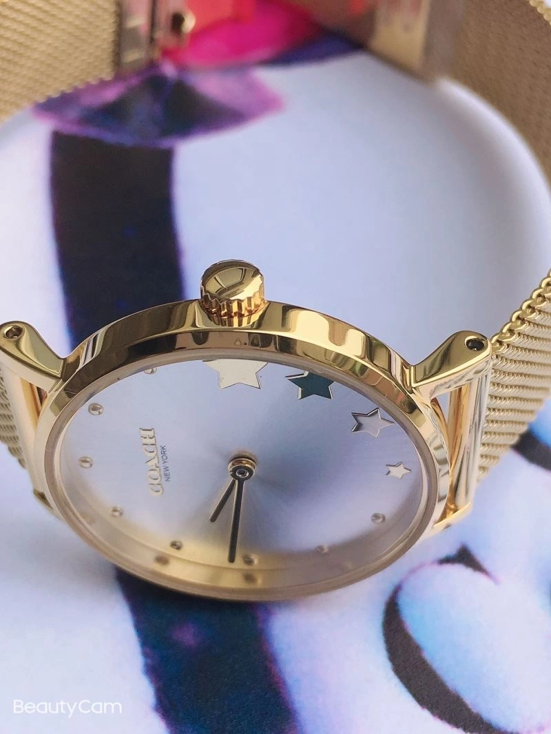 MoistureWicking COACH Watches 182092